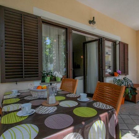Apartment Sanja Novigrad  ภายนอก รูปภาพ