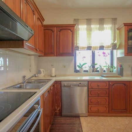 Apartment Sanja Novigrad  ภายนอก รูปภาพ