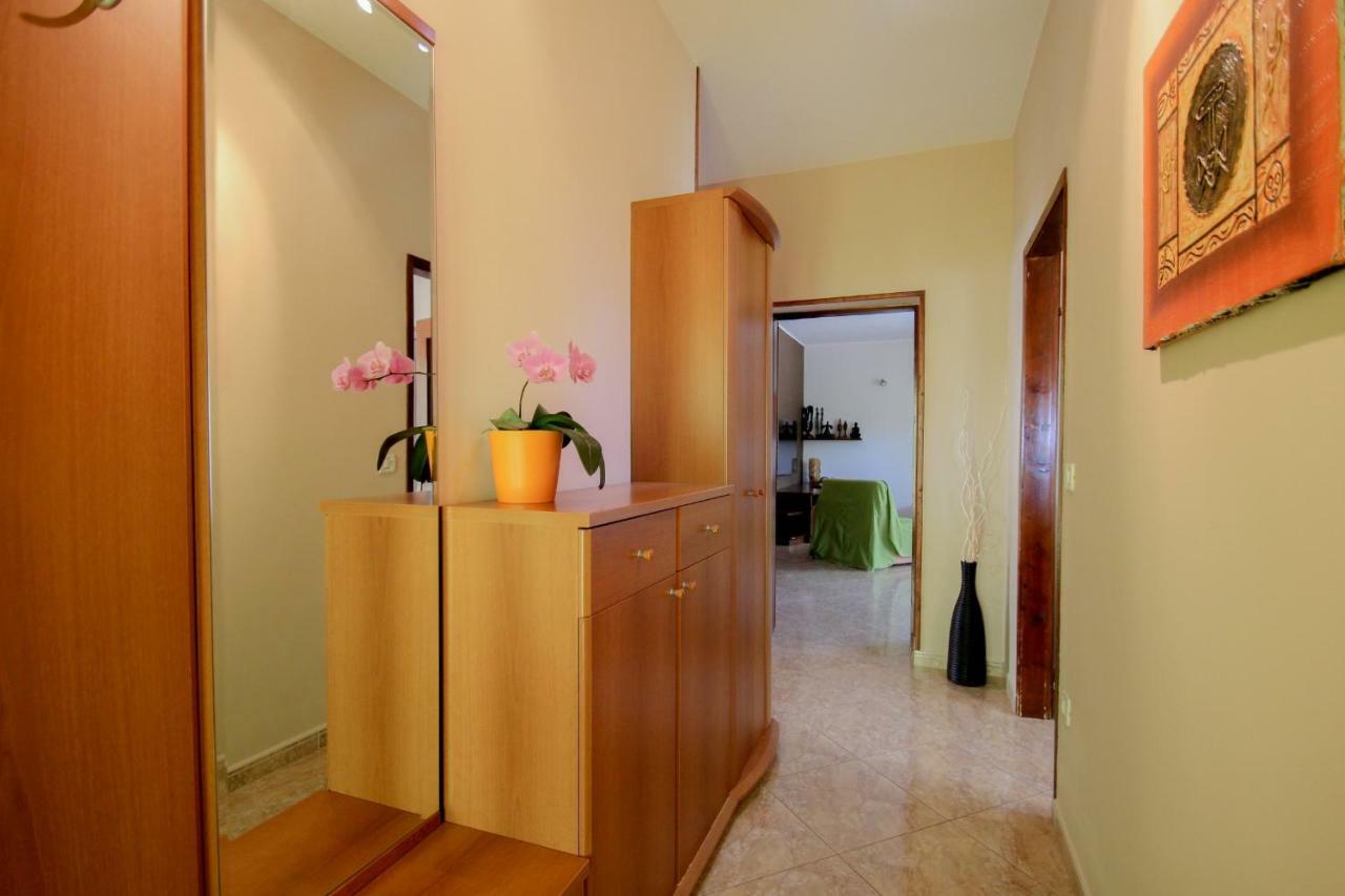 Apartment Sanja Novigrad  ภายนอก รูปภาพ