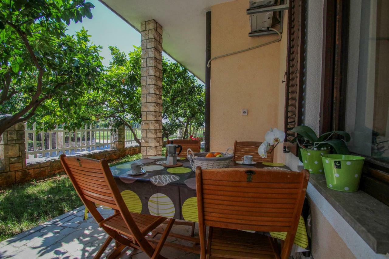 Apartment Sanja Novigrad  ภายนอก รูปภาพ