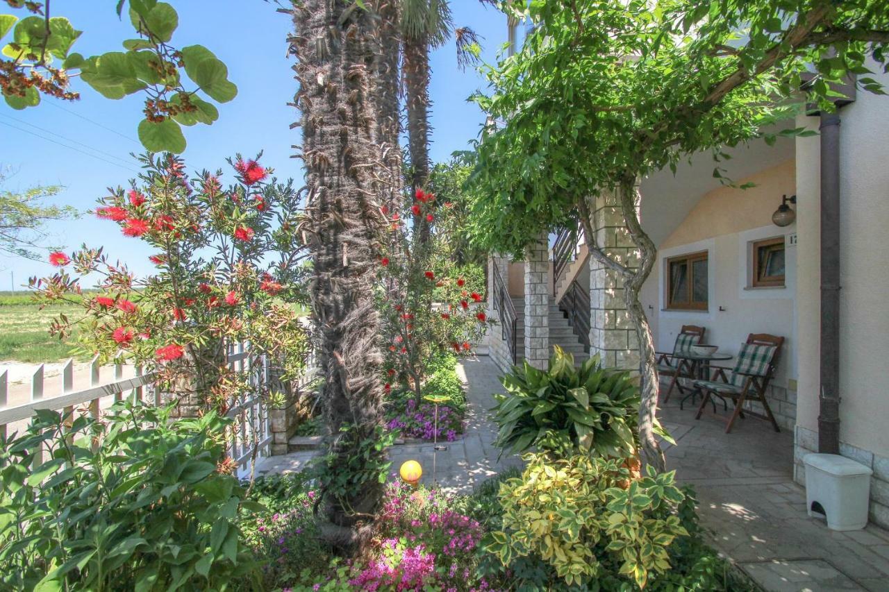 Apartment Sanja Novigrad  ภายนอก รูปภาพ